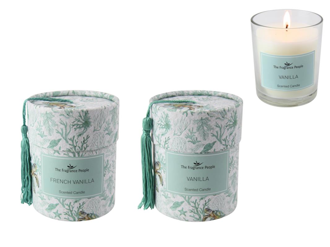 200g Turtle Design Candles By Kelly Lane