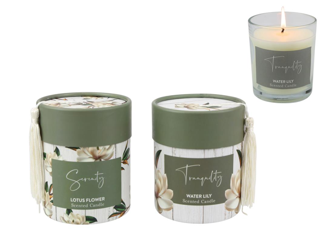 200g Magnolia Design Candles By Kelly Lane