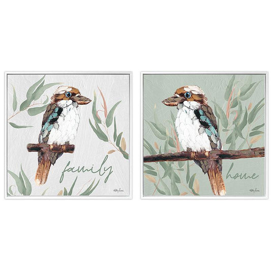 40x40cm Framed Kookaburra Canvas Print By Kelly Lane