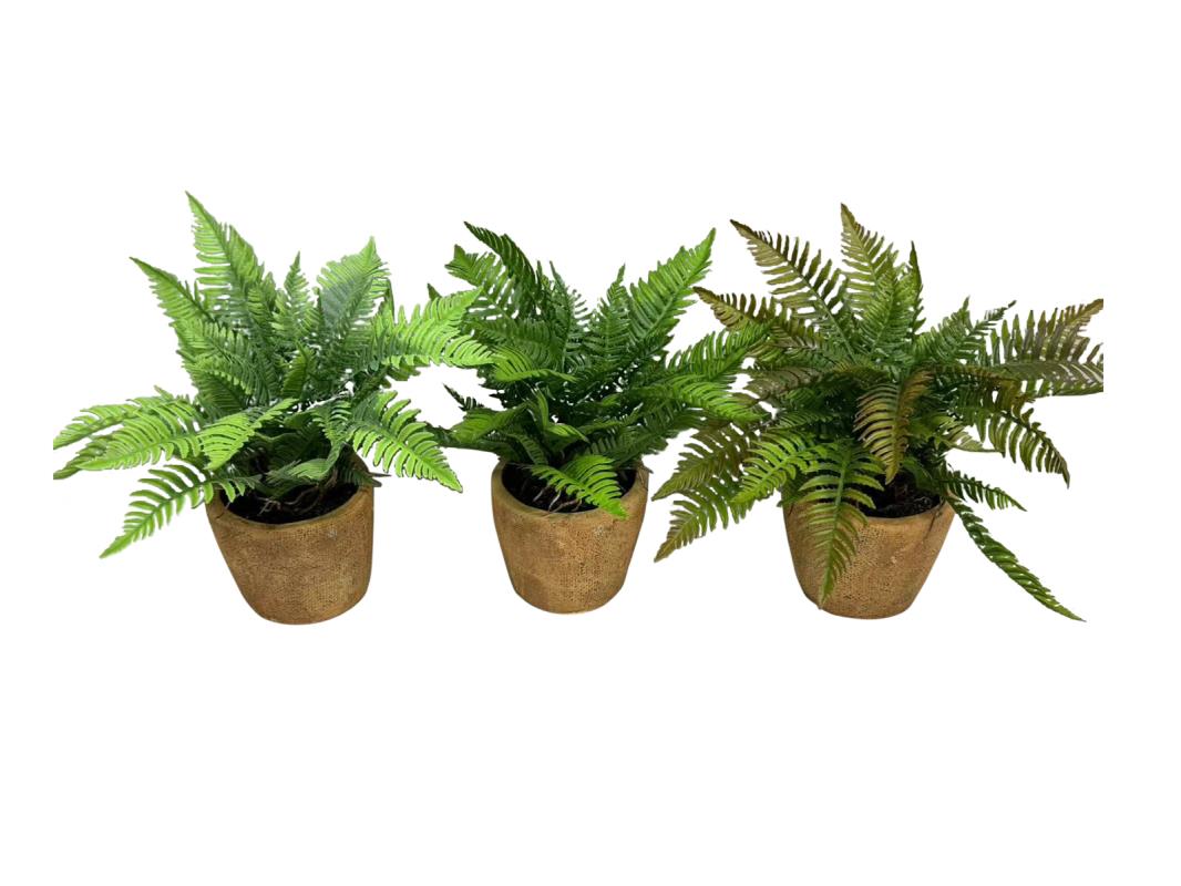 Artificial Fern Plants In Terracotta Pots - 28cm