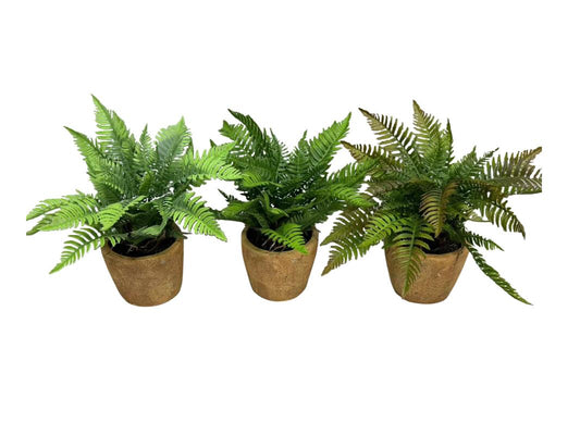 Artificial Fern Plants In Terracotta Pots - 28cm